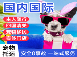 乌兰浩特义勒力特航空货运国际宠物托运 【国